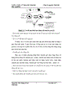 Thử nghiệm chuyển gen GFP trên gà Gallus Gallus Domesticus sử dụng vector pT2 BH CVpf SB11 bằng phương pháp chuyển gen qua tinh trùng và vi tiêm vào phôi gà 0 giờ ấp 1