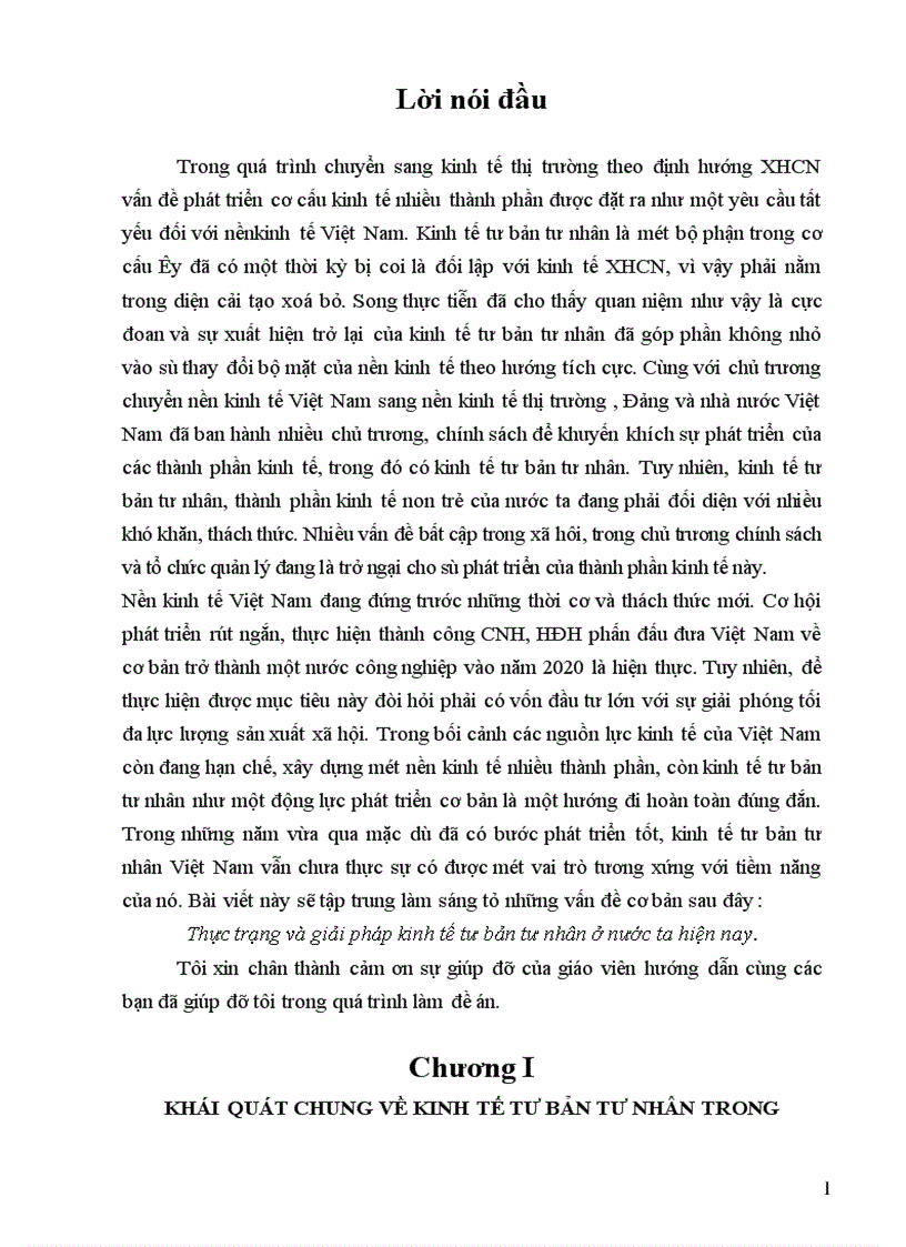 Thực trạng và giải pháp kinh tế tư bản tư nhân ở nước ta hiện nay 1
