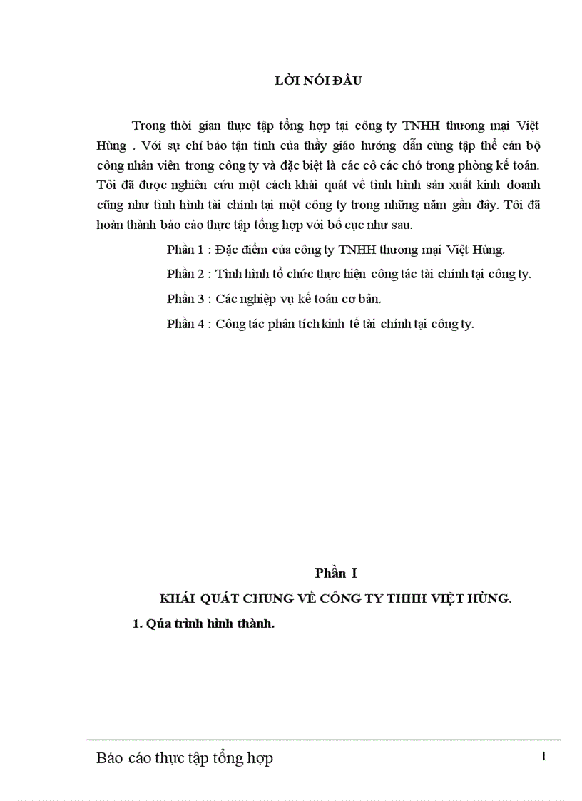 Báo cáo thực tập tổng hợp tại công ty TNHH thương mại Việt Hùng