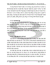 Giải pháp xây dựng mô hình Tập đoàn Tài chính Ngân hàng tại Việt Nam 1