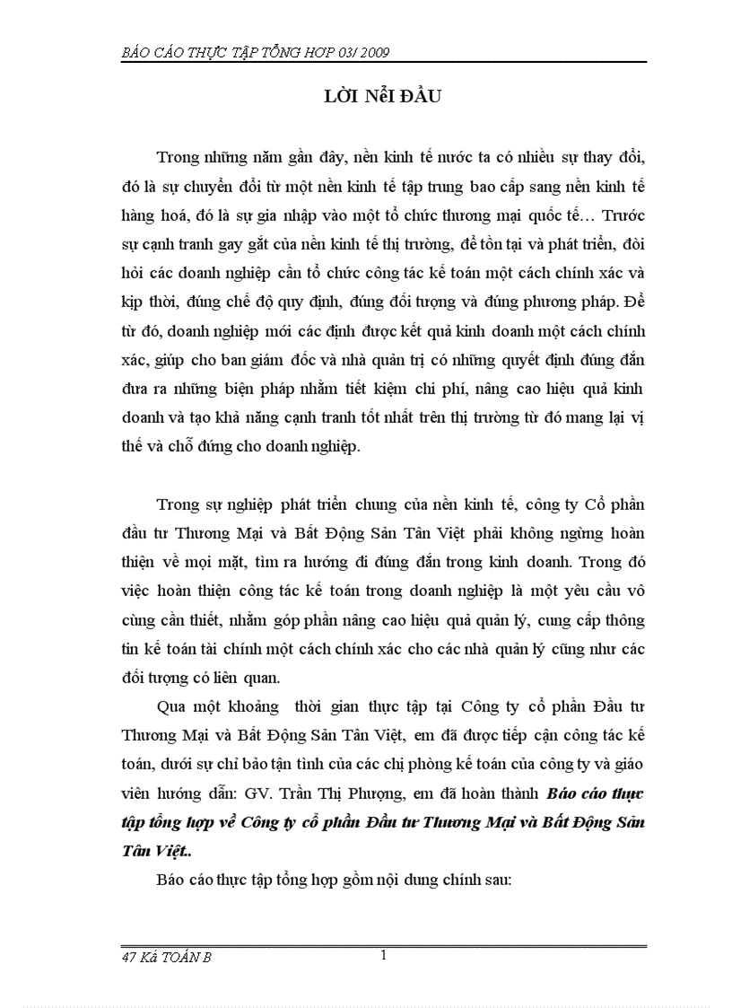 Báo cáo thực tập tổng hợp về Công ty cổ phần Đầu tư Thương Mại và Bất Động Sản Tân Việt