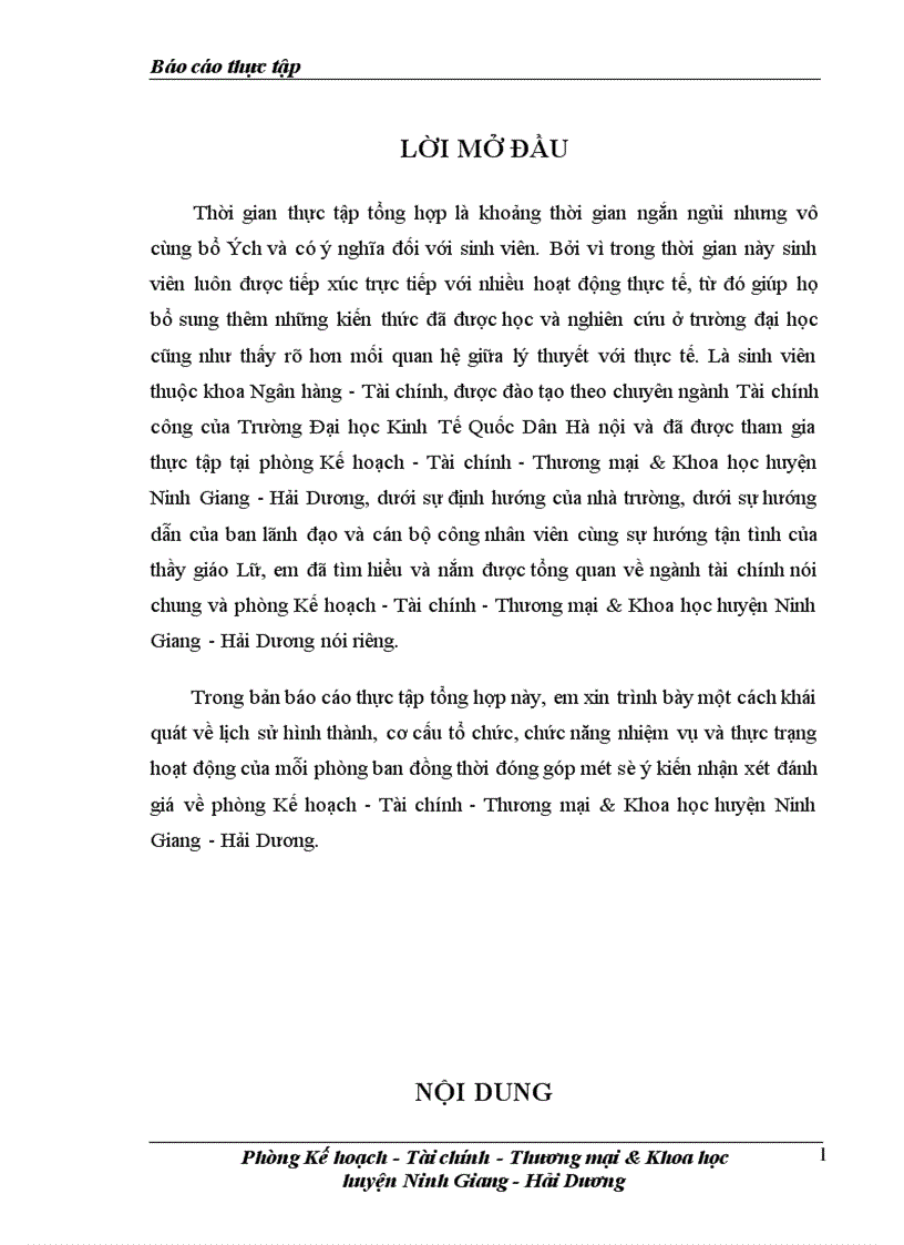 Báo cáo thực tập tổng hợp của về phòng Kế hoạch Tài chính Thương mại Khoa học huyện Ninh Giang Hải Dương