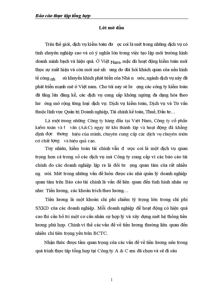 Công ty cổ phần kiểm toán và tư vấn A C với vấn đề kiểm toán chu trình tiền lương và nhân viên trong kiểm toán BCTC