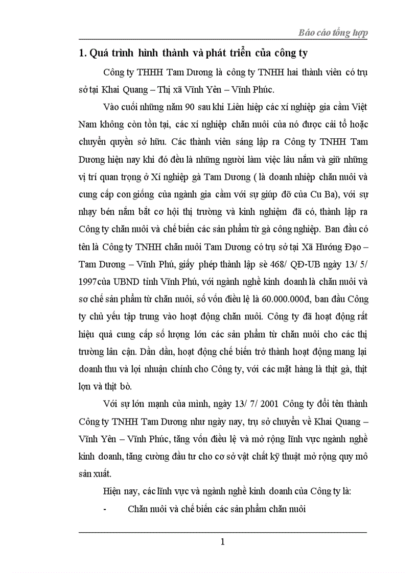 Báo cáo thực tập tổng hợp của Công ty THHH Tam Dương