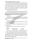 Hoàn thiện kế toán bán hàng và xác định kết quả kinh doanh ở công ty Cao su 75 1