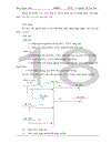 Tổ chức công tác kế toán tại công ty TNHH Hoa Nam