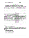 Một số kiến nghị nhằm hoàn thiện công tác kế toán Nguyên vật liệu Công cụ dụng cụ tại Xí nghiệp Luyện Kim Màu I