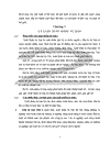 Đầu tư trực tiếp nước ngoài và những giải pháp nhằm thu hút đầu tư trực tiếp nước ngoài vào Việt Nam 1