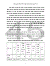 Đầu tư phát triển cơ sở hạ tầng trong CT 135, tức là gồm 2 dự án của CT 135