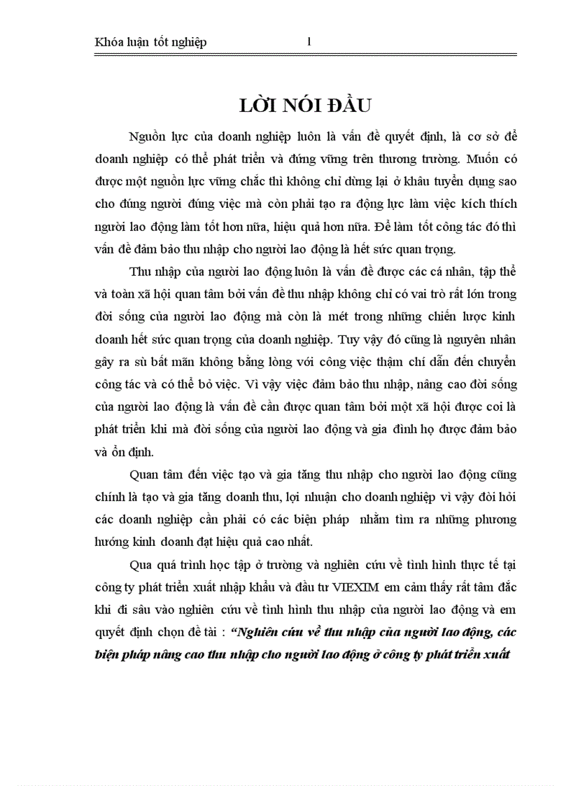 Nghiên cứu về thu nhập của người lao động các biện pháp nâng cao thu nhập cho người lao động ở công ty phát triển xuất nhập khẩu và đầu tư VIEXIM