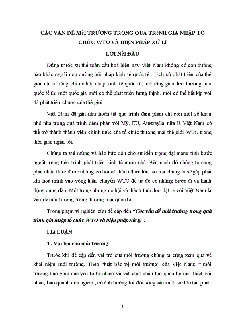 Các vấn đề môi trường trong quá trình gia nhập tổ chức WTO và biện pháp xử lý 1