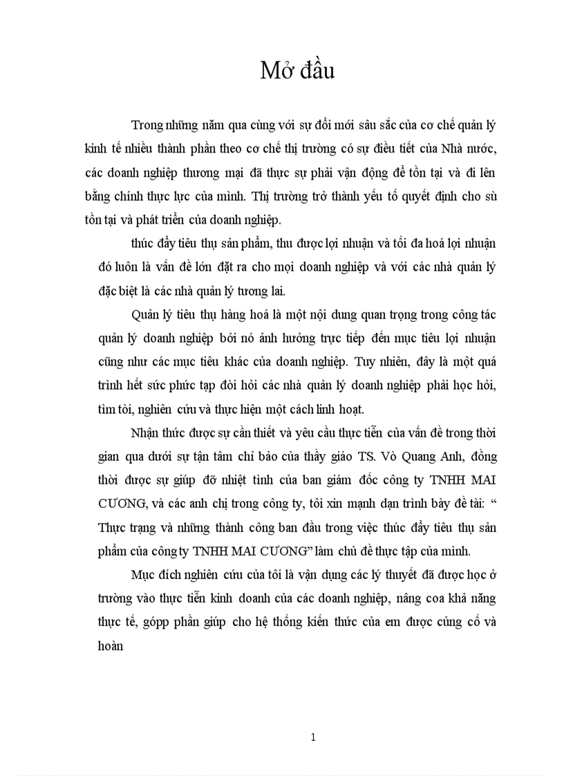 Thực trạng và những thành công ban đầu trong việc thúc đẩy tiêu thụ sản phẩm của công ty TNHH MAI CƯƠNG