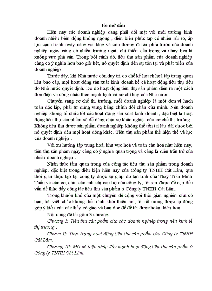 Vấn đề thúc đẩy công tác tiêu thụ sản phẩm ở Công ty TNHH Cát Lâm