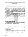 Thực trạng và giải pháp về vấn đề lạm phát ở Việt Nam trong giai đoạn năm 2007 2008