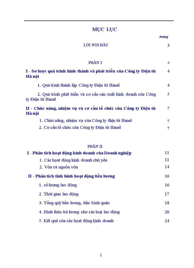 Báo cáo tổng hợp về Công ty Điện tử Hà nội Hanel