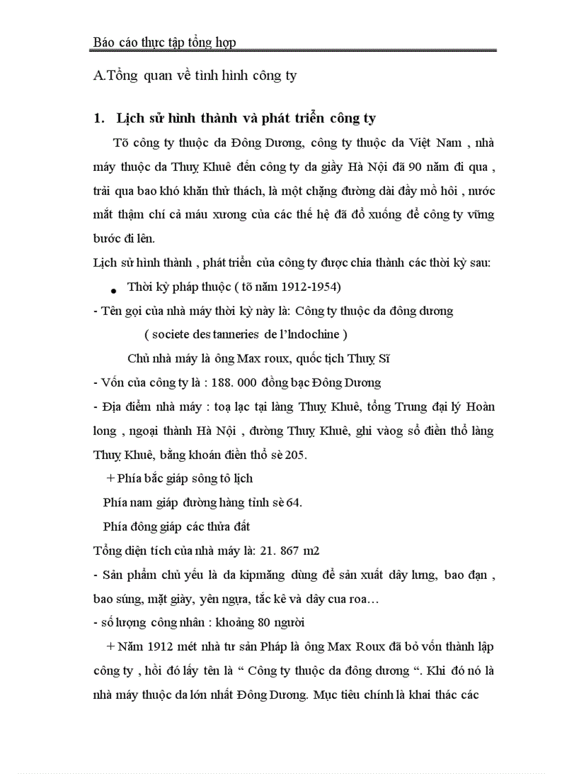 Báo cáo thực tập tổng hợp tại Công ty Da Giầy Hà Nội