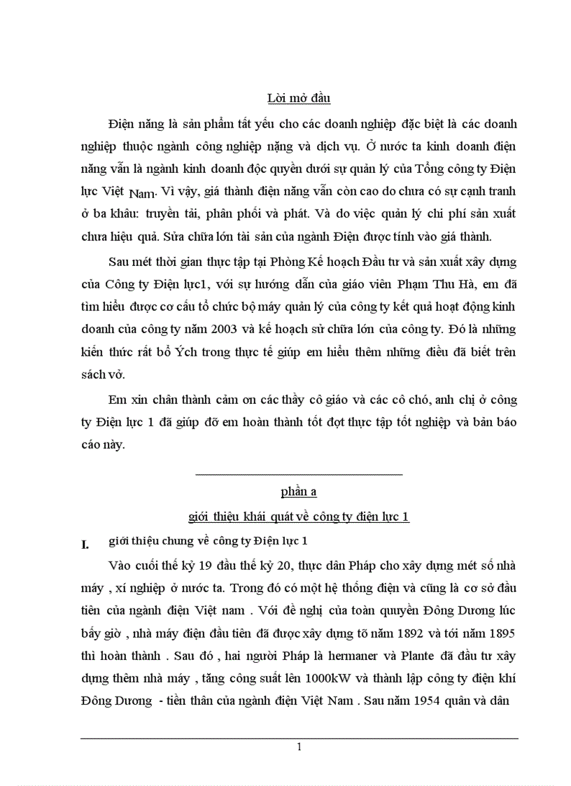 Báo cáo tổng hợp về Công ty điện lực 1