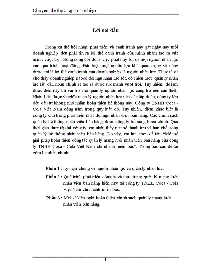 Một số giải pháp hoàn thiện công tác quản lý mạng lưới nhân viên bán hàng của công ty TNHH Coca Cola Việt Nam chi nhánh miền bắc