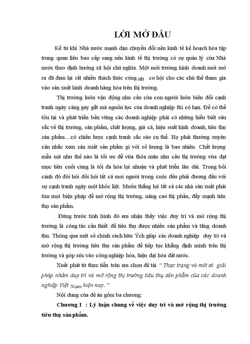 Thực trạng và một số giải pháp nhằm duy trì và mở rộng thị trường tiêu thụ sản phẩm của các doanh nghiệp Việt Nam hiện nay 1