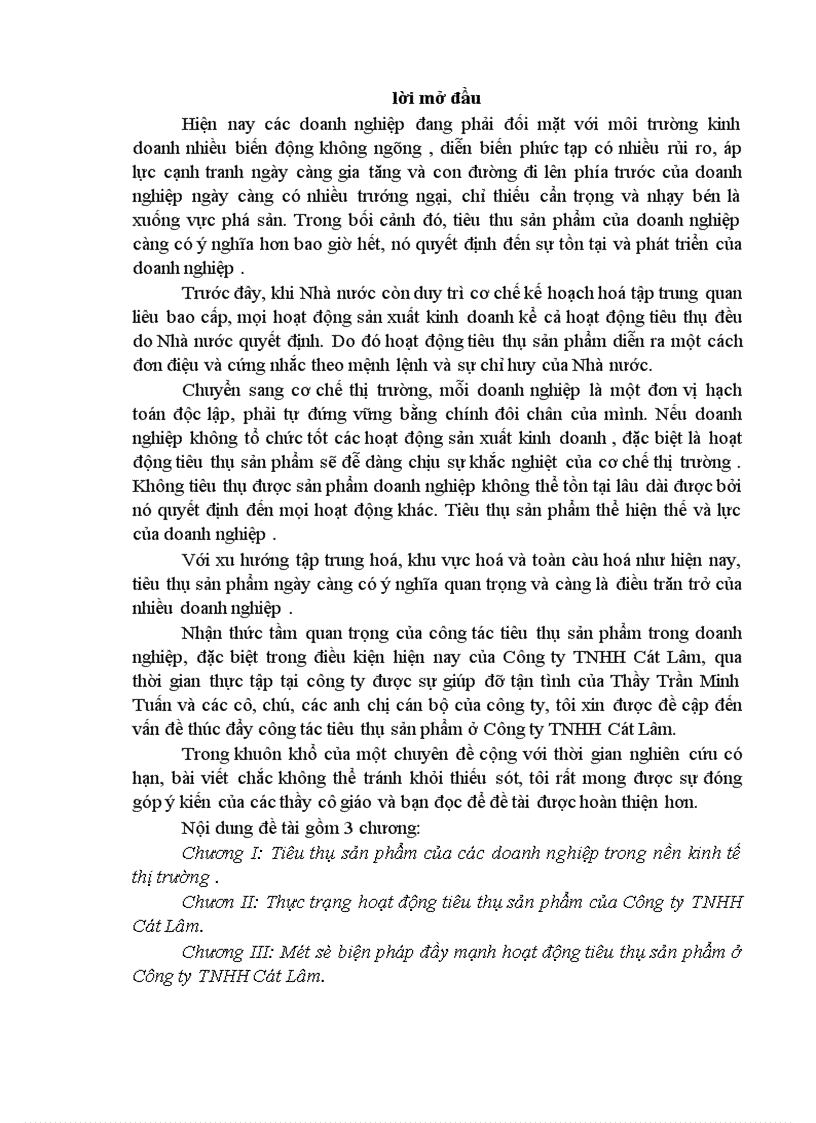 vấn đề thúc đẩy công tác tiêu thụ sản phẩm ở Công ty TNHH Cát Lâm