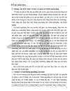 Những giải pháp nhằm phát triển hoạt động kênh phân phối bánh cáy của công ty Dân Liên