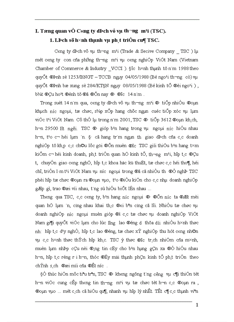 Tổng quan về Công ty dịch vụ và thương mại TSC