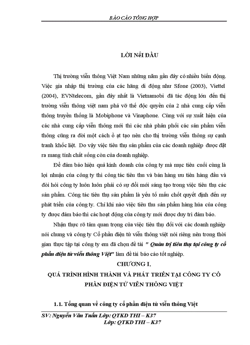 Báo cáo thực tập tại Công ty cổ phần điện tử viễn thông Việt