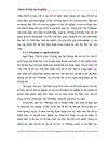 Thực trạng phát triển hoạt động kinh doanh thẻ tín dụng quốc tế tài Ngân hàng TMCP Quốc Tế Việt Nam, một thành viên trẻ trên thị trường thẻ nước ta