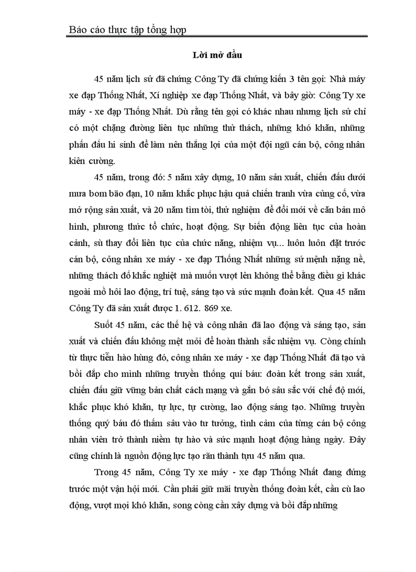 Báo cáo thực tập tổng hợp tại Công Ty xe máy xe đạp Thống Nhất