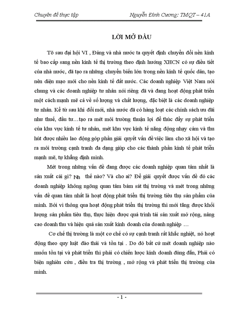 Một số giải pháp nhằm phát triển thị trường tiêu thụ sản phẩm của công ty TNHH sản xuất thương mại dich vụ Đức Việt 1