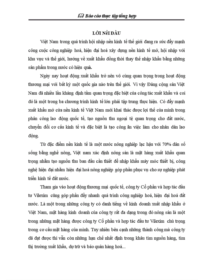 Báo cáo thực tập tổng hợp tại Công ty cổ phần xuất nhập khẩu và hợp tác đầu tư Vilexim