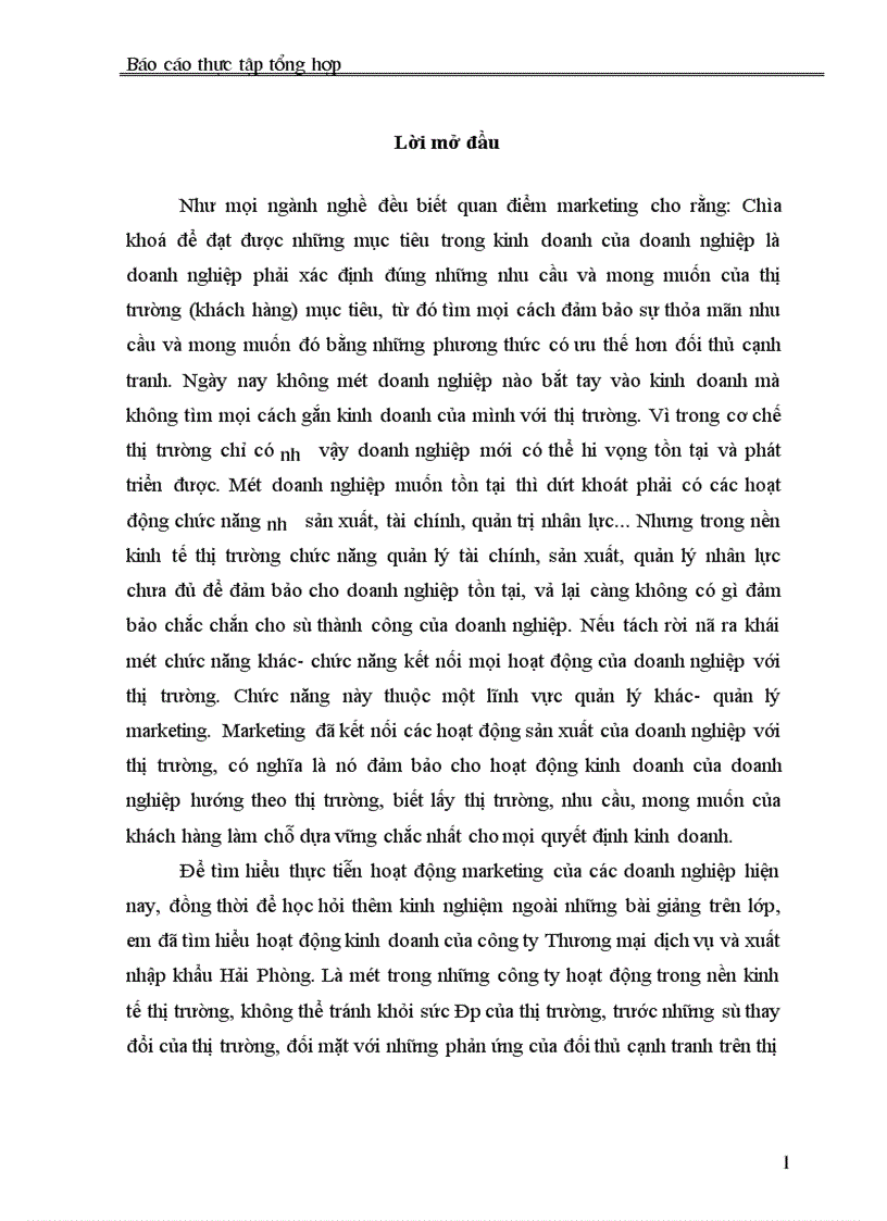 Báo cáo thực tập tổng hợp tại Công ty Thương mại dịch vụ và xuất nhập khẩu Hải Phòng