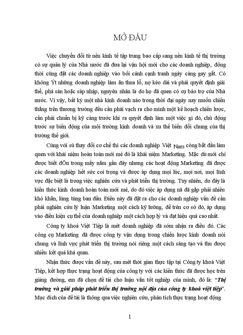 Thị trường và giải pháp phát triển thị trường nội địa của công ty khoá việt tiệp 1