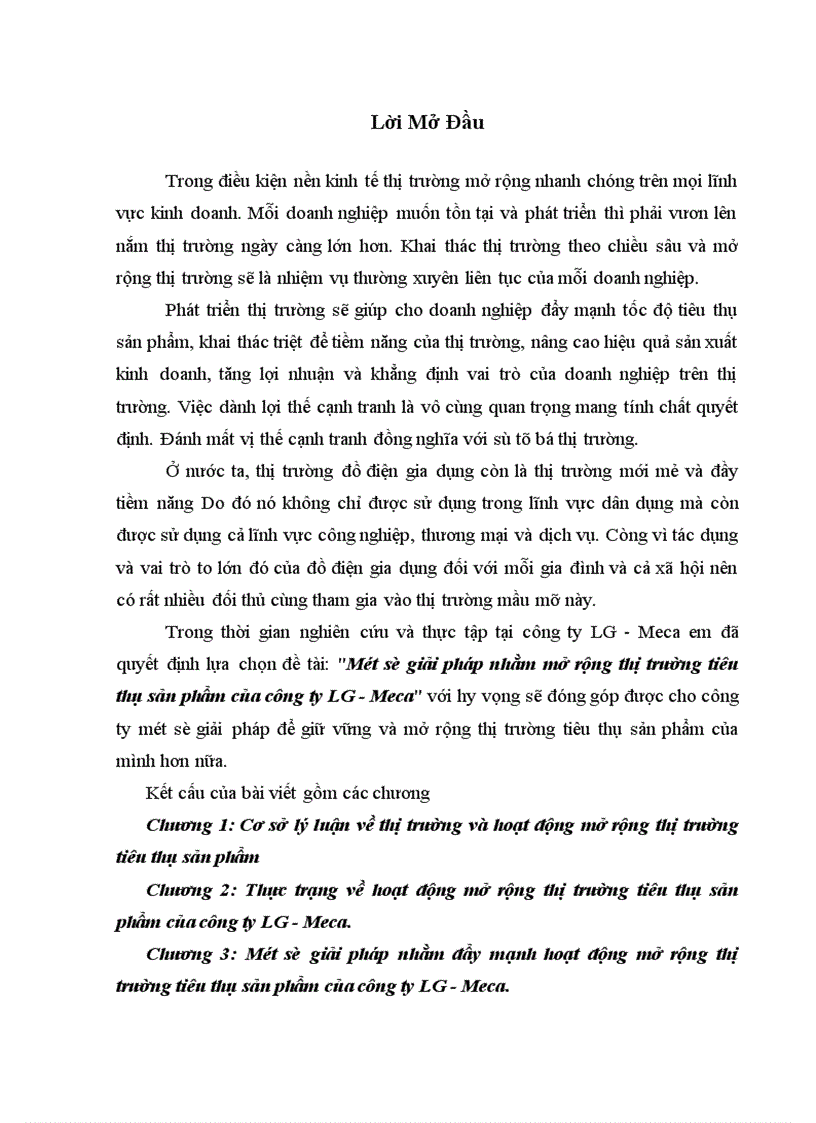 Một số giải pháp nhằm mở rộng thị trường tiêu thụ sản phẩm của công ty LG Meca