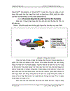 Một số giải pháp đẩy mạnh hoạt động tiêu thụ sản phẩm giấy PaperOne tại Công ty TNHH Xuất Nhập Khẩu Vật Tư Ngành In