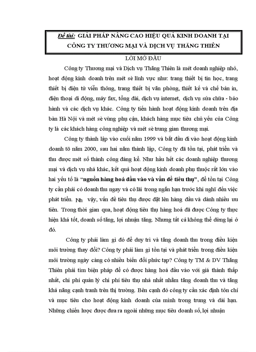 Giải pháp nâng cao hiệu quả kinh doanh tại Công ty Thương mại và Dịch vụ Thăng Thiên