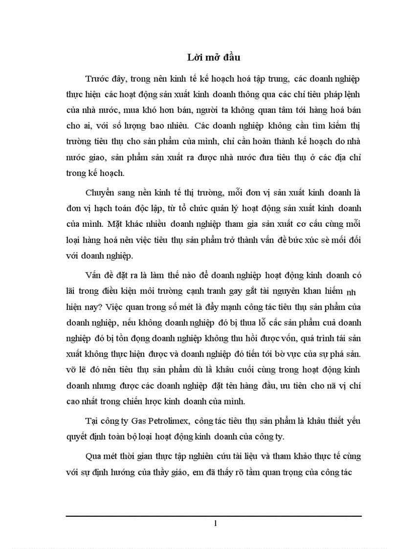 Một số vấn đề về Hoạt động tiêu thụ sản phẩm của công ty Gas Petrolimex 1