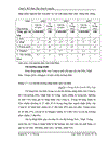 Hoạt động nhập khẩu thép của Công ty Cổ phần Tổng Bách hoá Bộ Thương mại Thực trạng và giải pháp