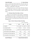 Một số giải pháp nâng cao hiệu quả sử dụng vốn ở Công ty TNHH Duy Thịnh 1