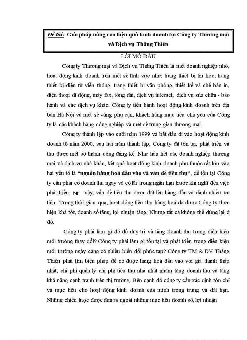Giải pháp nâng cao hiệu quả kinh doanh tại Công ty Thương mại và Dịch vụ Thăng Thiên