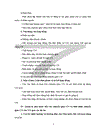 Chuyển Giao Công Nghệ Qua Các Dự Án FDI