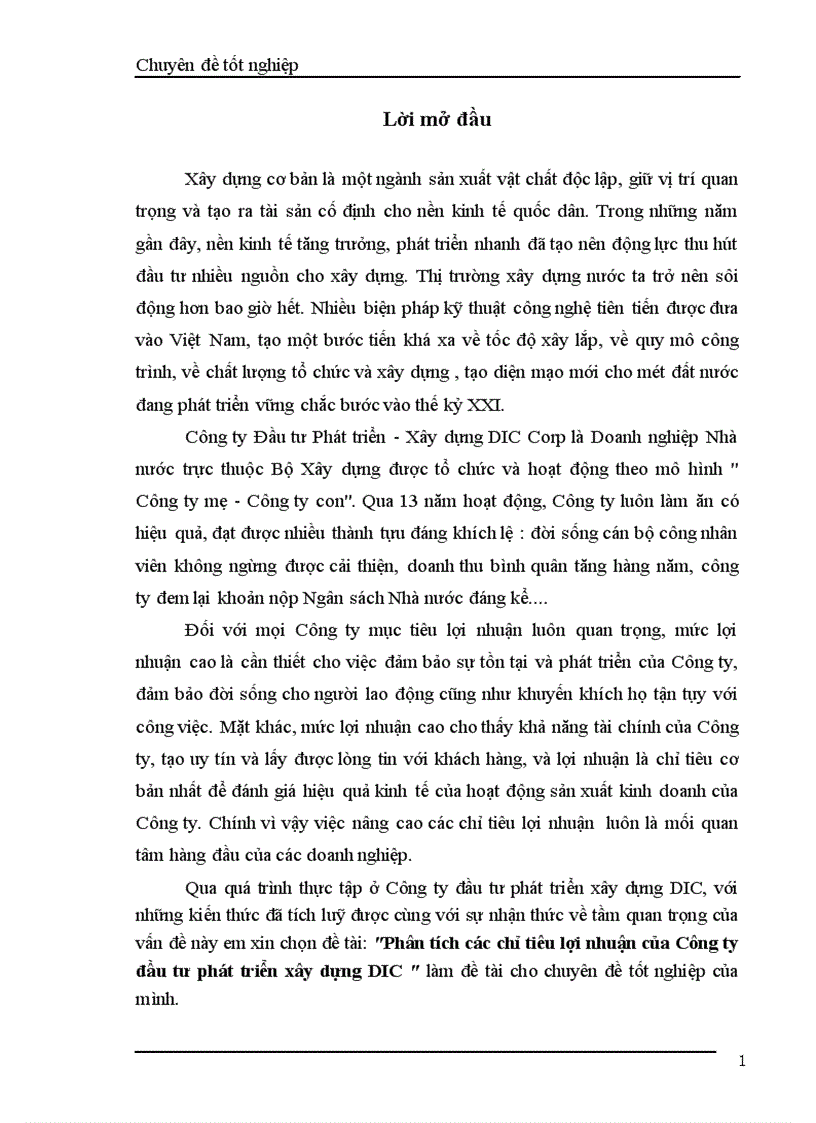 Phân tích các chỉ tiêu lợi nhuận của Công ty đầu tư phát triển xây dựng DIC 1