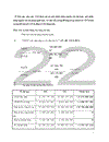 Phân tích tình hình tài chính Công ty Cổ phần Nhựa Thiếu niên Tiền Phong qua các năm 2006 2007 và 2008 1