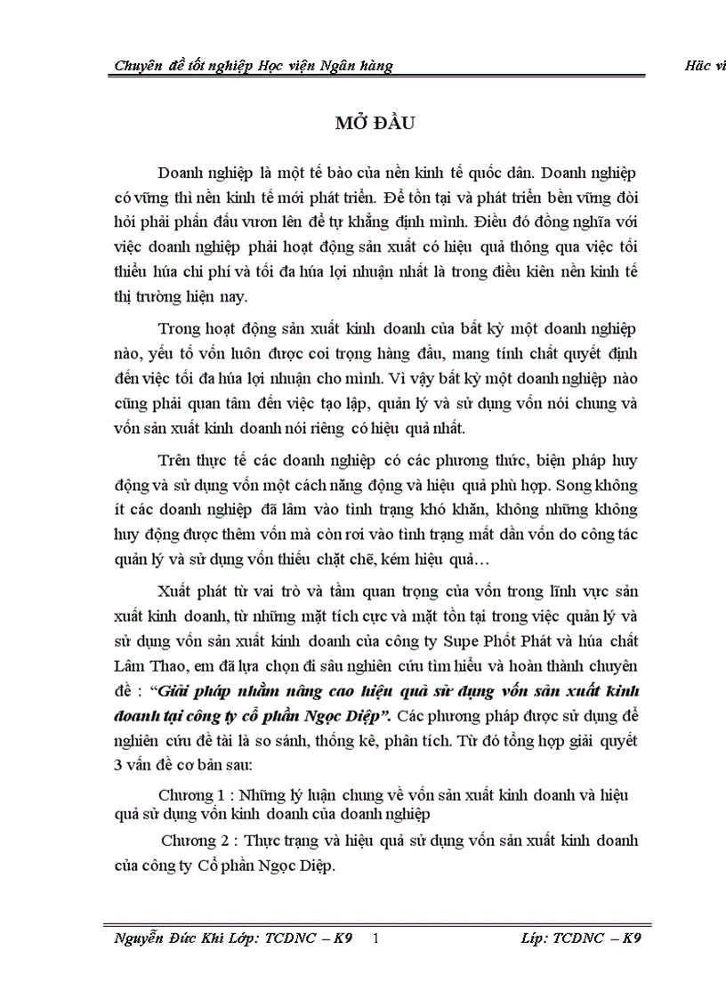 Giải pháp nhằm nâng cao hiệu quả sử dụng vốn sản xuất kinh doanh tại công ty cổ phần Ngọc Diệp 1