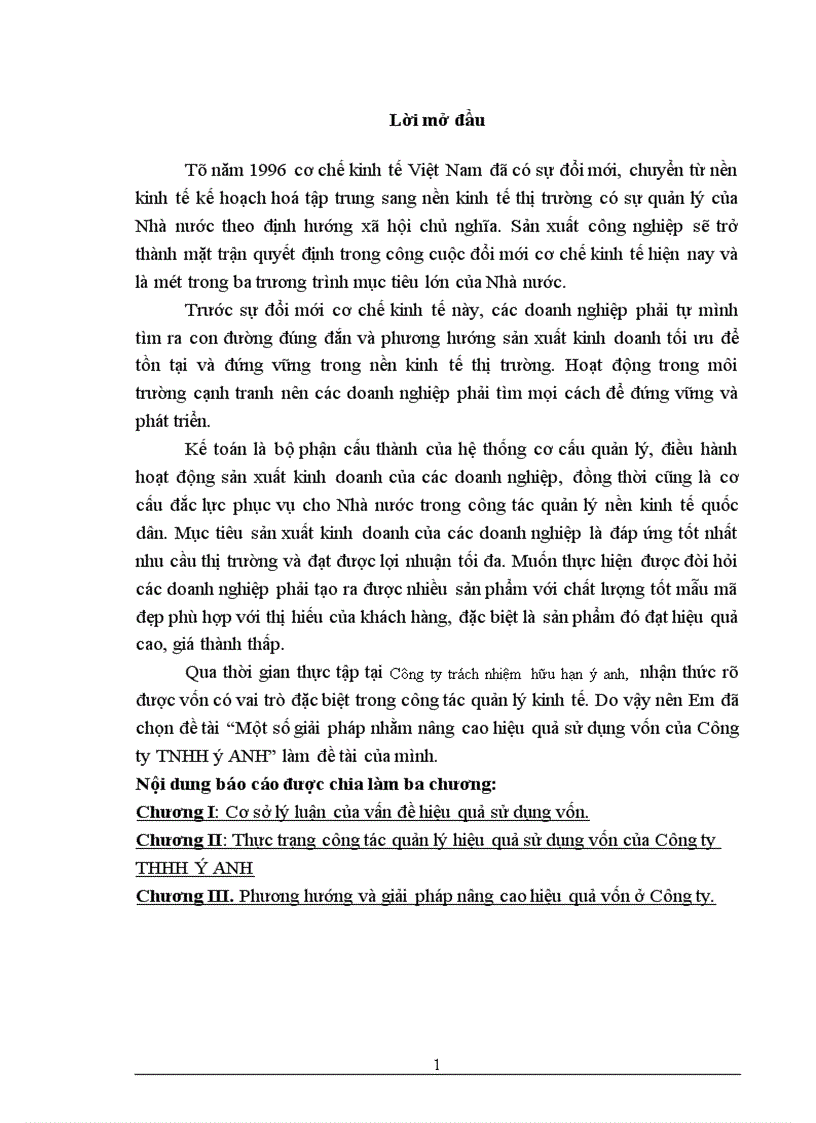 Một số giải pháp nhằm nâng cao hiệu quả sử dụng vốn của Công ty TNHH ý ANH 1