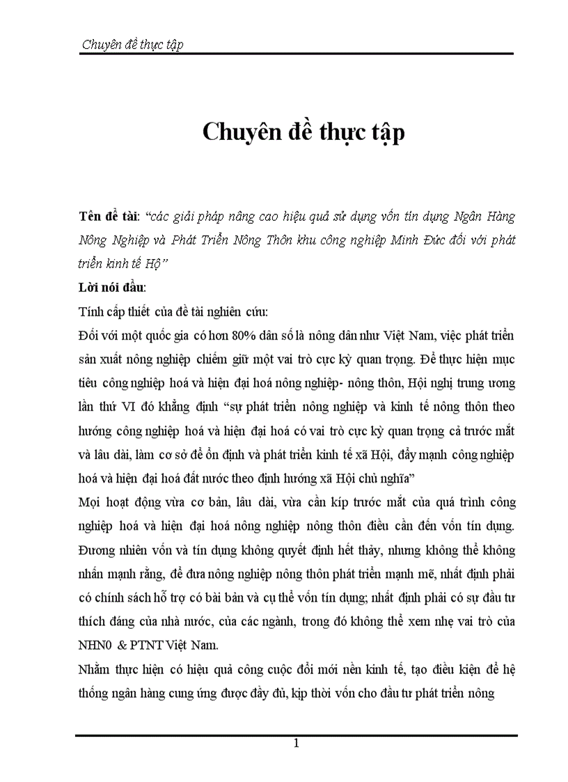 các giải pháp nâng cao hiệu quả sử dụng vốn tín dụng Ngân Hàng Nông Nghiệp và Phát Triển Nông Thôn khu công nghiệp Minh Đức đối với phát triển kinh tế Hộ 1