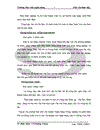 Một số giải pháp nâng cao chất lượng tín dụng tại Ngân hàng No PTNT Thị xã Hồng Lĩnh cho đề tài thực tập của mình