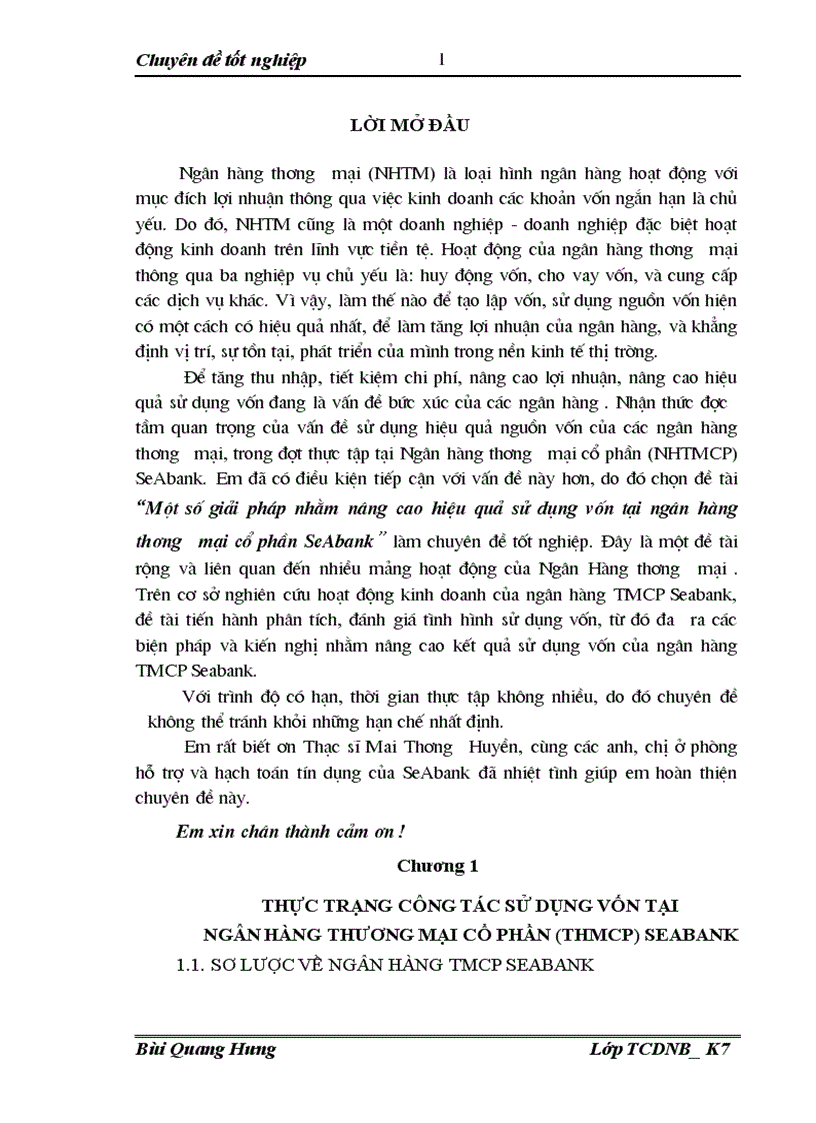 Một số giải pháp nhằm nâng cao hiệu quả sử dụng vốn tại ngân hàng thương mại cổ phần SeAbank 1