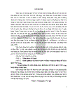 Các giải pháp xúc tiến nhằm mục đích đưa chế độ tỷ giá ở Việt Nam hoạt động có hiệu quả