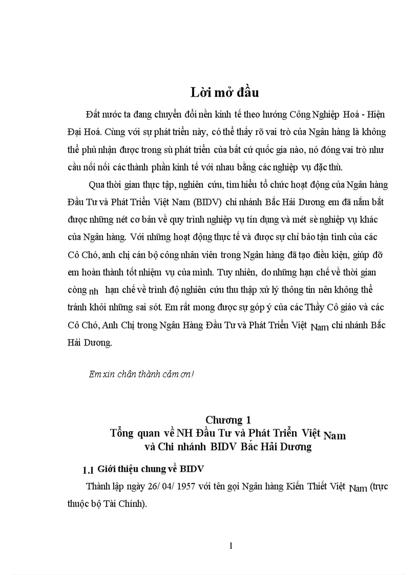 Tình hình hoạt động kinh doanh của ngân hàng Đầu Tư và Phát Triển Việt Nam và Chi nhánh BIDV Bắc Hải Dương